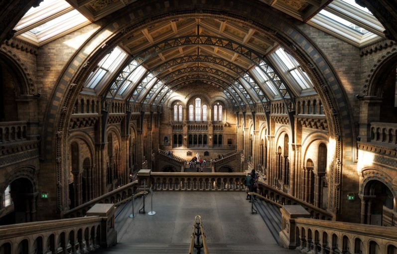 London culture and museums; inside the natural history museum 